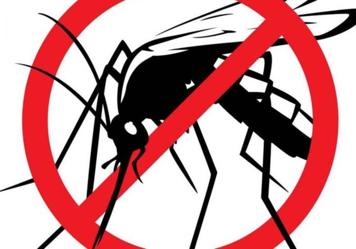 30.7. -  Obavijest o provedbi dezinsekcije Grada Staroga Grada sa prigradskim naseljima 
